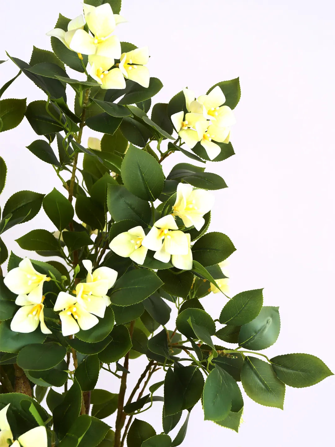Artificial Bougainvillea Flowers Plants with Pot -180 cm Tall, Green/White
