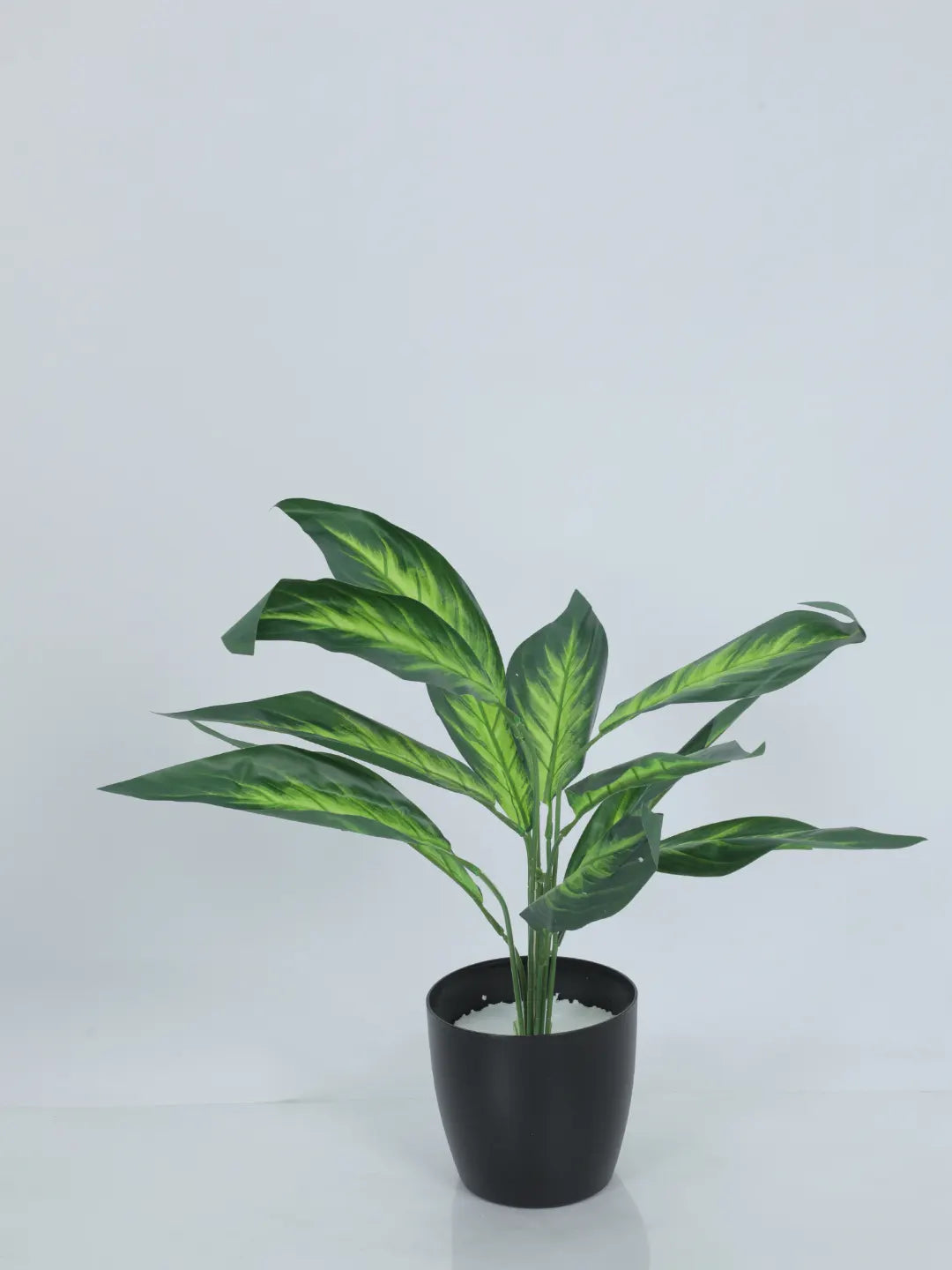 Artificial Green Dieffenbachia Plant (12 Leaves with Basic Black Pot 45 Cm Tall)