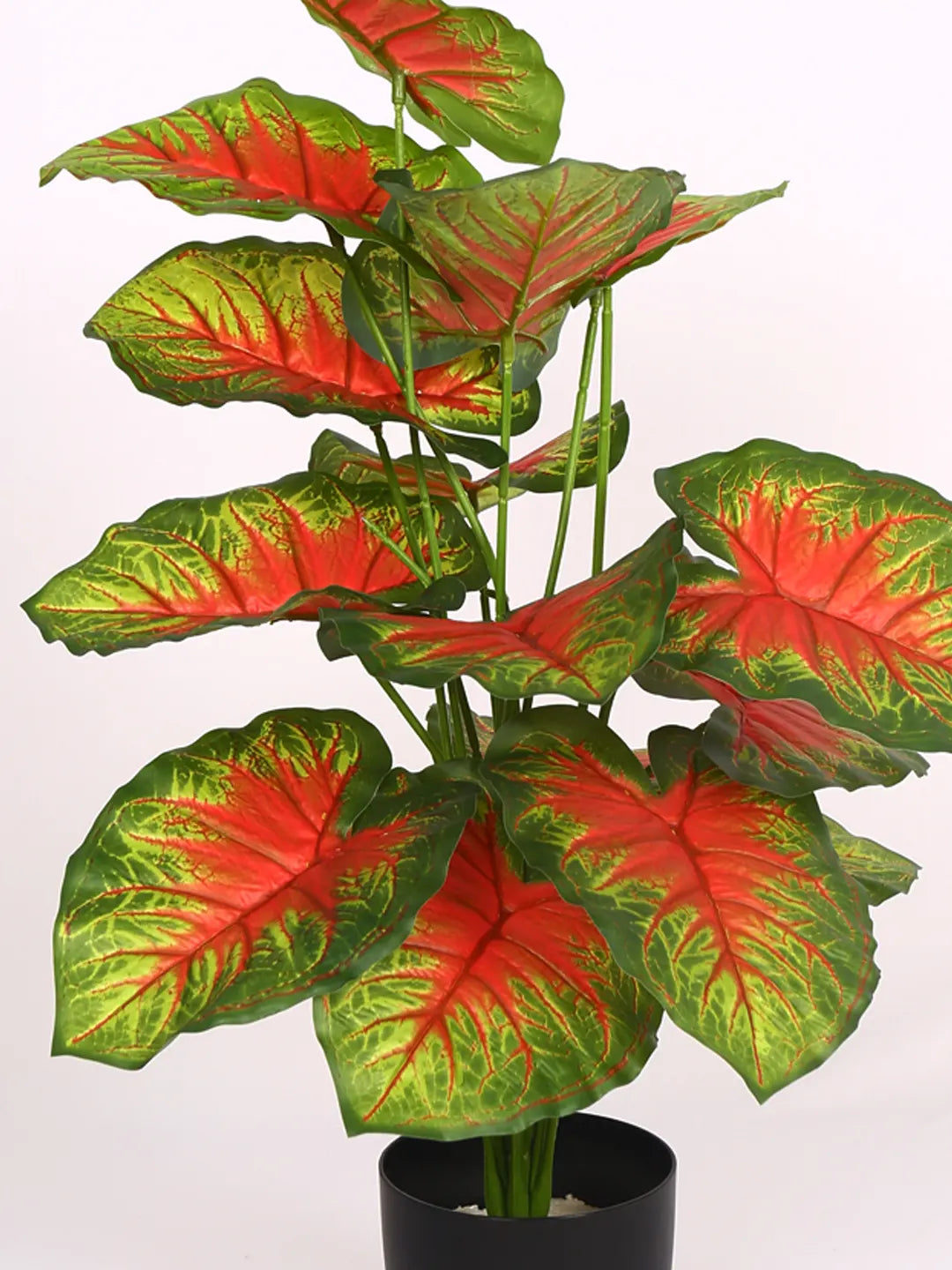 Artificial Caladium Leaf Plants for with Pot (18 Leaves, 65 cm Tall. Green/Red)