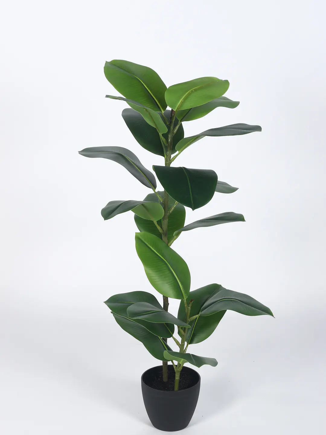 Artificial Rubber Plant for with Basic Black Pot (95 cm Tall Green)