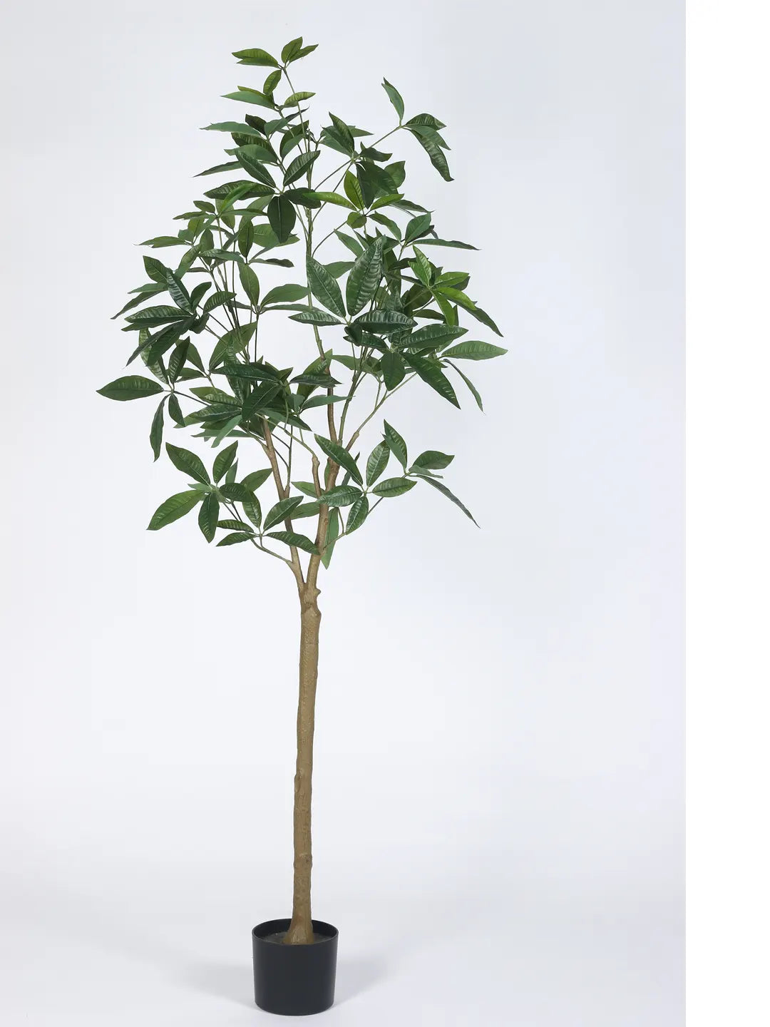 Artificial Midas Guiana Chestnut Plant with Basic Black Pot - 5.5 Feet Tall Green Leaves