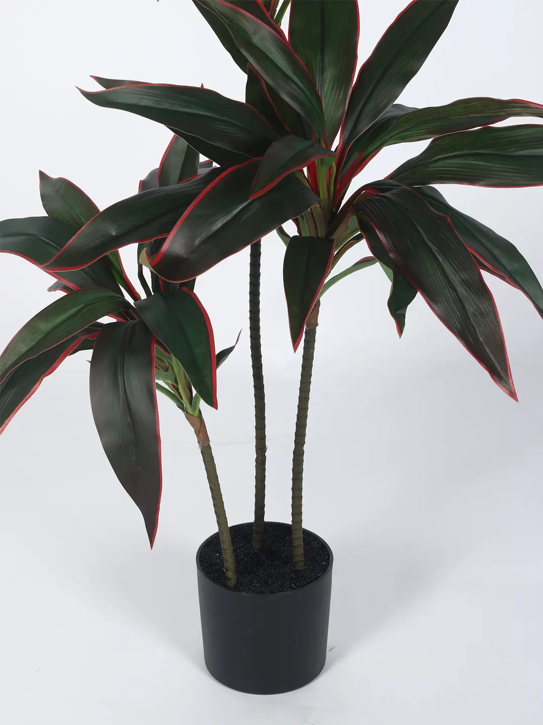 Artificial Dracaena Plant with Basic Black Pot – 85 cm Tall, Green/Red