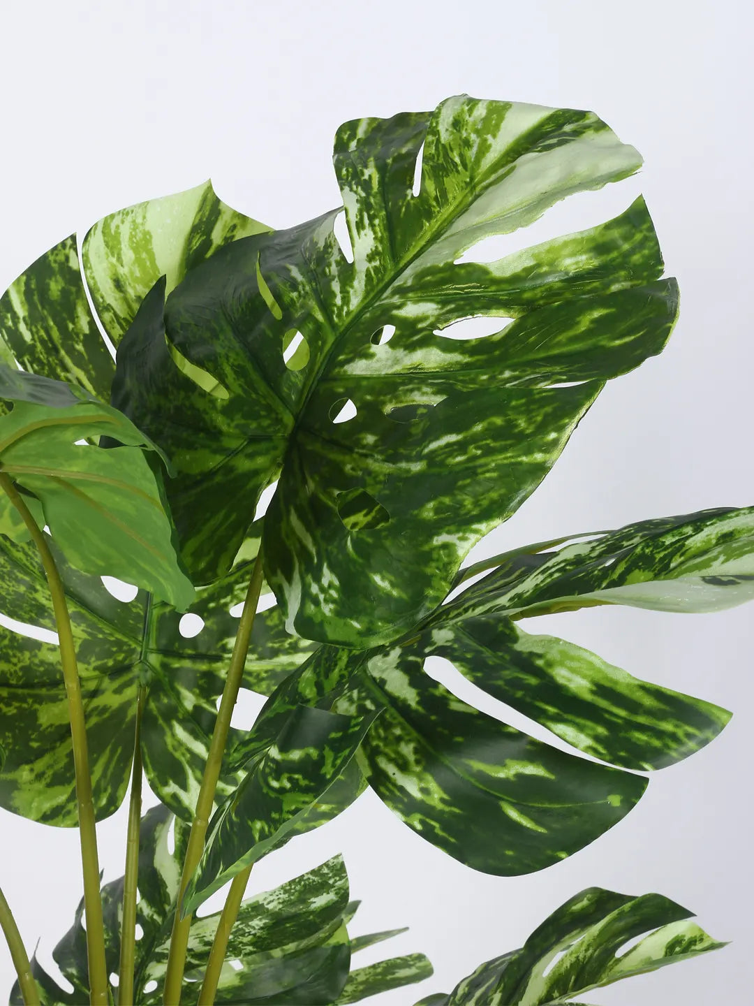 Artificial Variegated Lush Monstera Plant with Basic Black Pot - 4 Feet