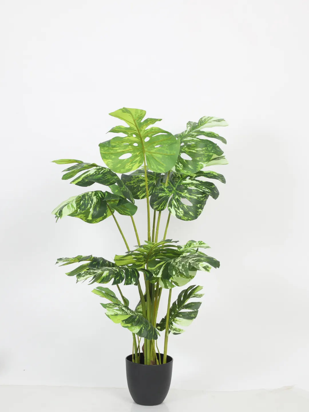 Artificial Variegated Lush Monstera Plant with Basic Black Pot - 4 Feet