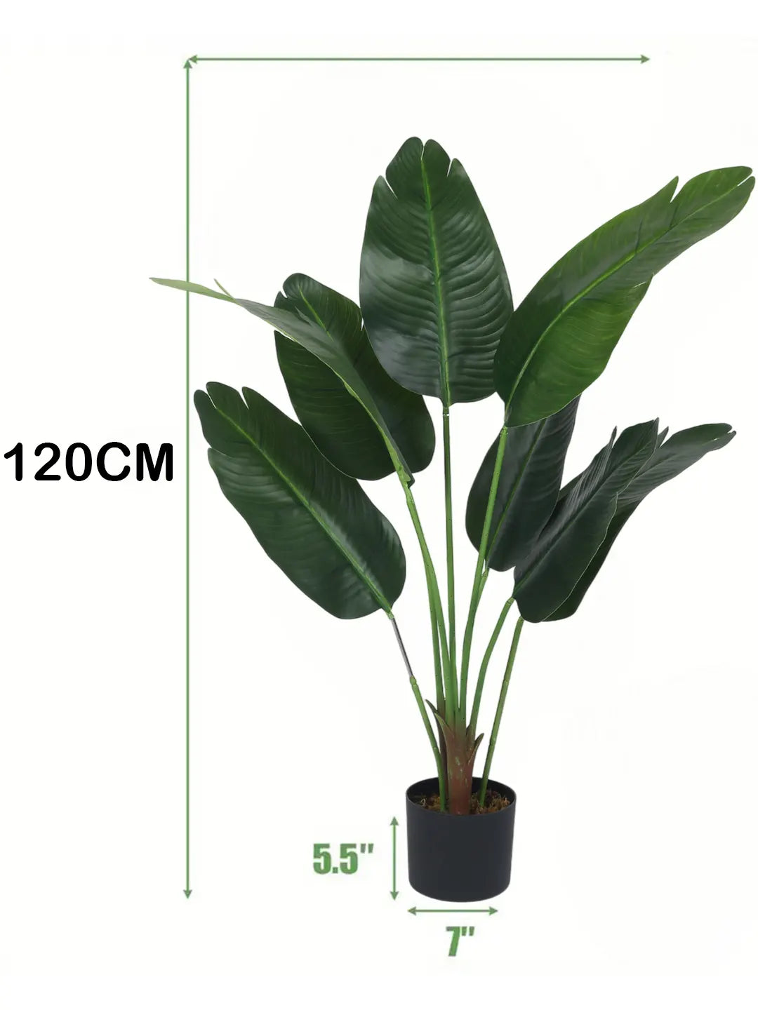Artificial Cavendish Traveller Banana Plant with Basic Black Pot - 4 feet Green