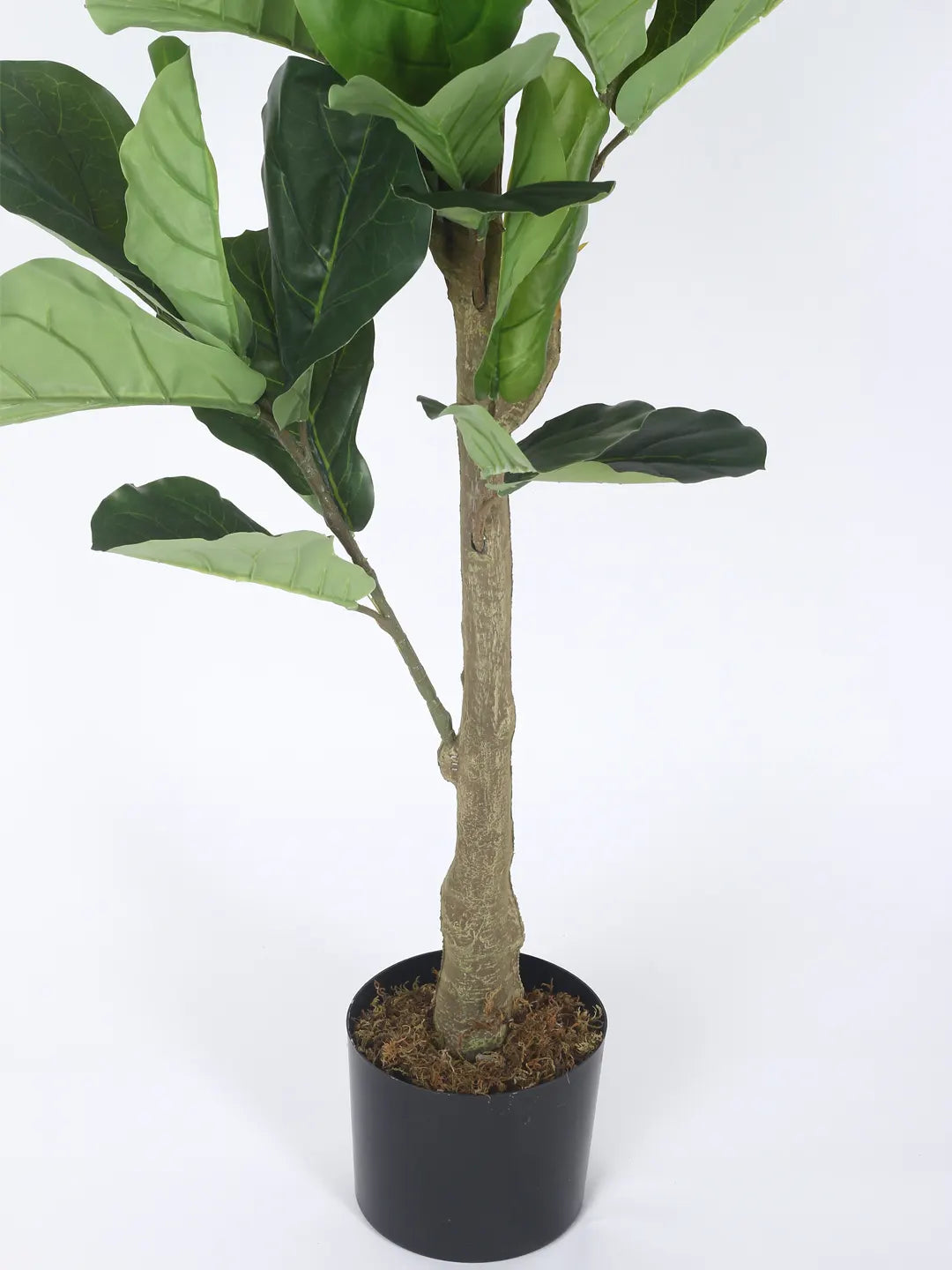 Artificial Serene Fiddle Plant with Basic Black Pot - 4 feet Green