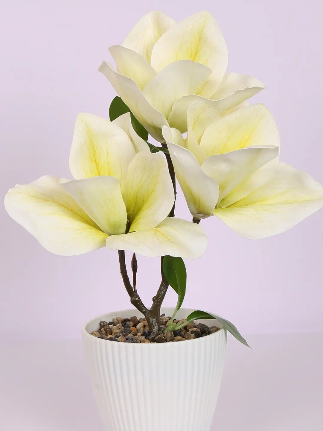 Artificial Real Touch Magnolia Flower With Pot (30 cm Tall, White)