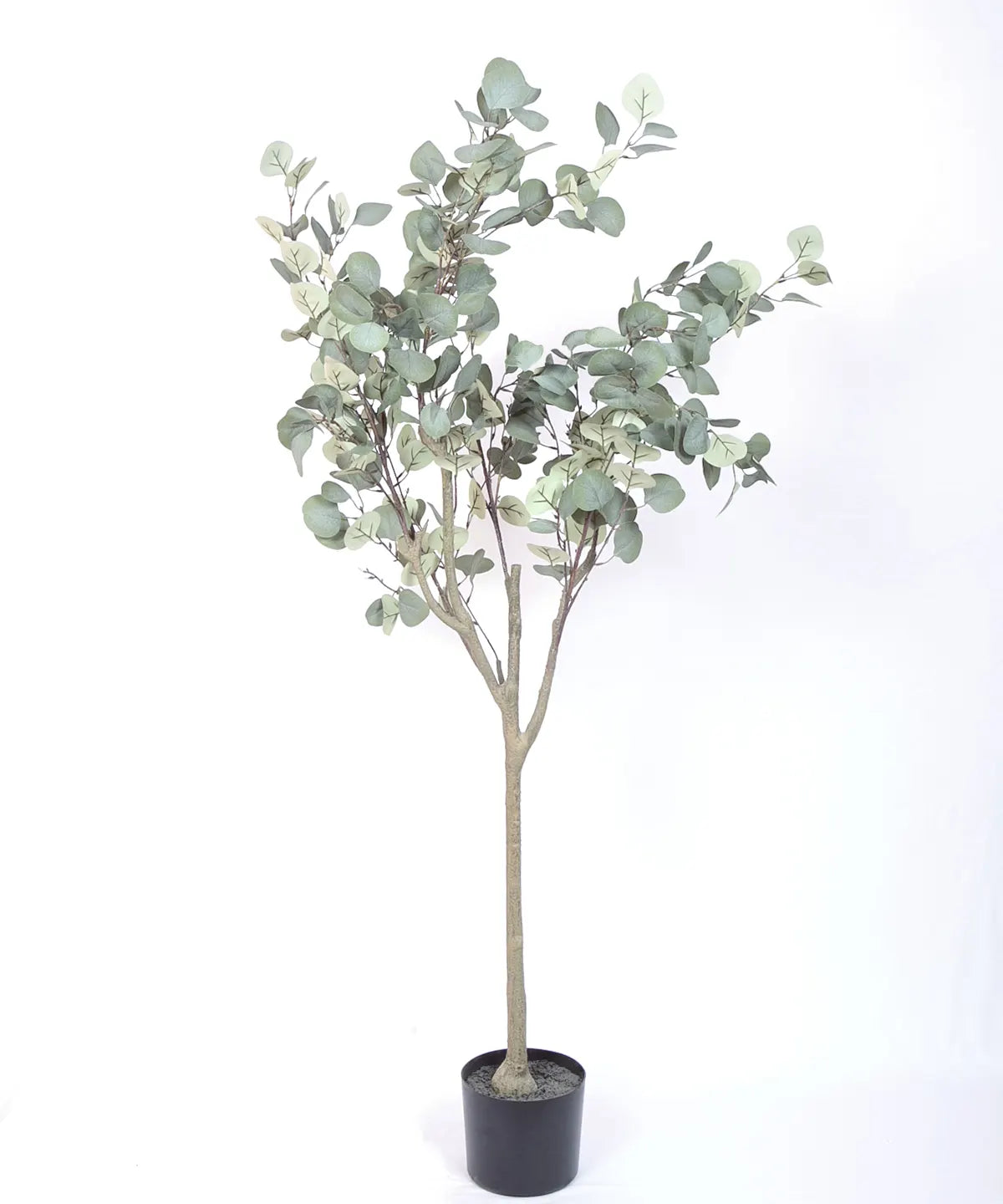 Artificial Eucalyptus potted plant, outdoor and indoor (140 cm Tall, Green)