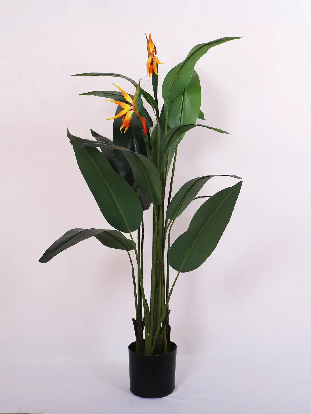 Artificial Birds of Paradise Plant with Basic Black Pot - 140 cm Tall