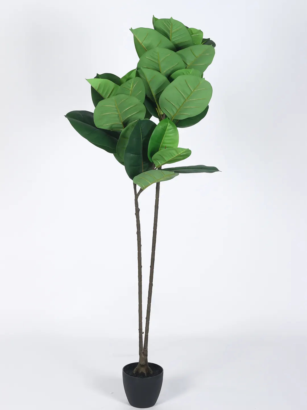 Artificial Leafy Rubber Plant with Basic Black Pot - 4 feet Green