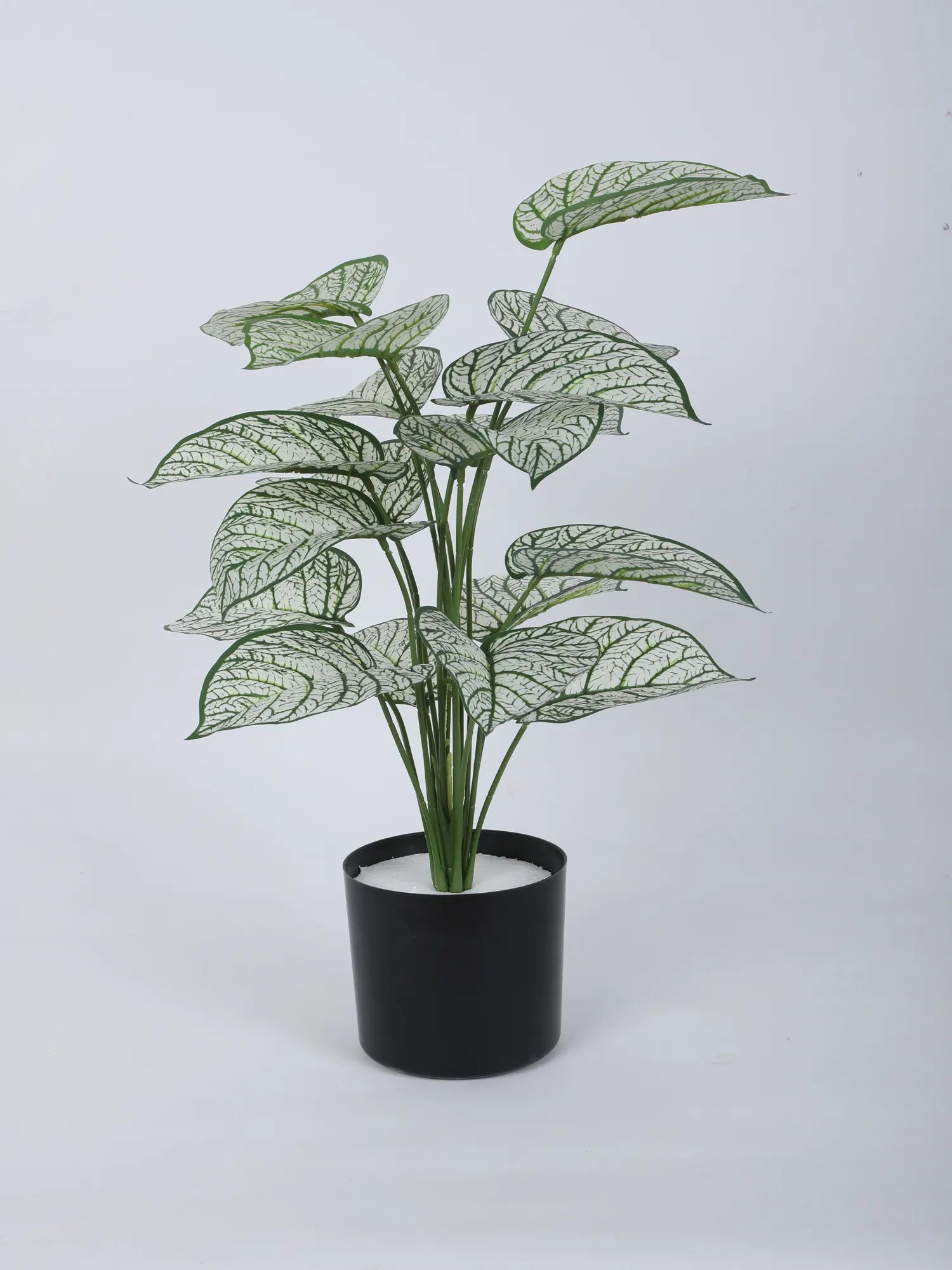 Artificial Caladium Leaf Plants for with Pot (18 Leaves, 65 cm Tall. Green/White)