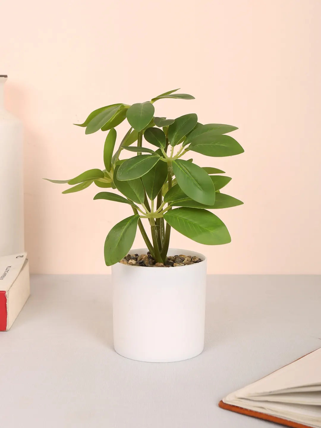 Artificial Schefflera Plants With Pot (22 cm Tall, Green)