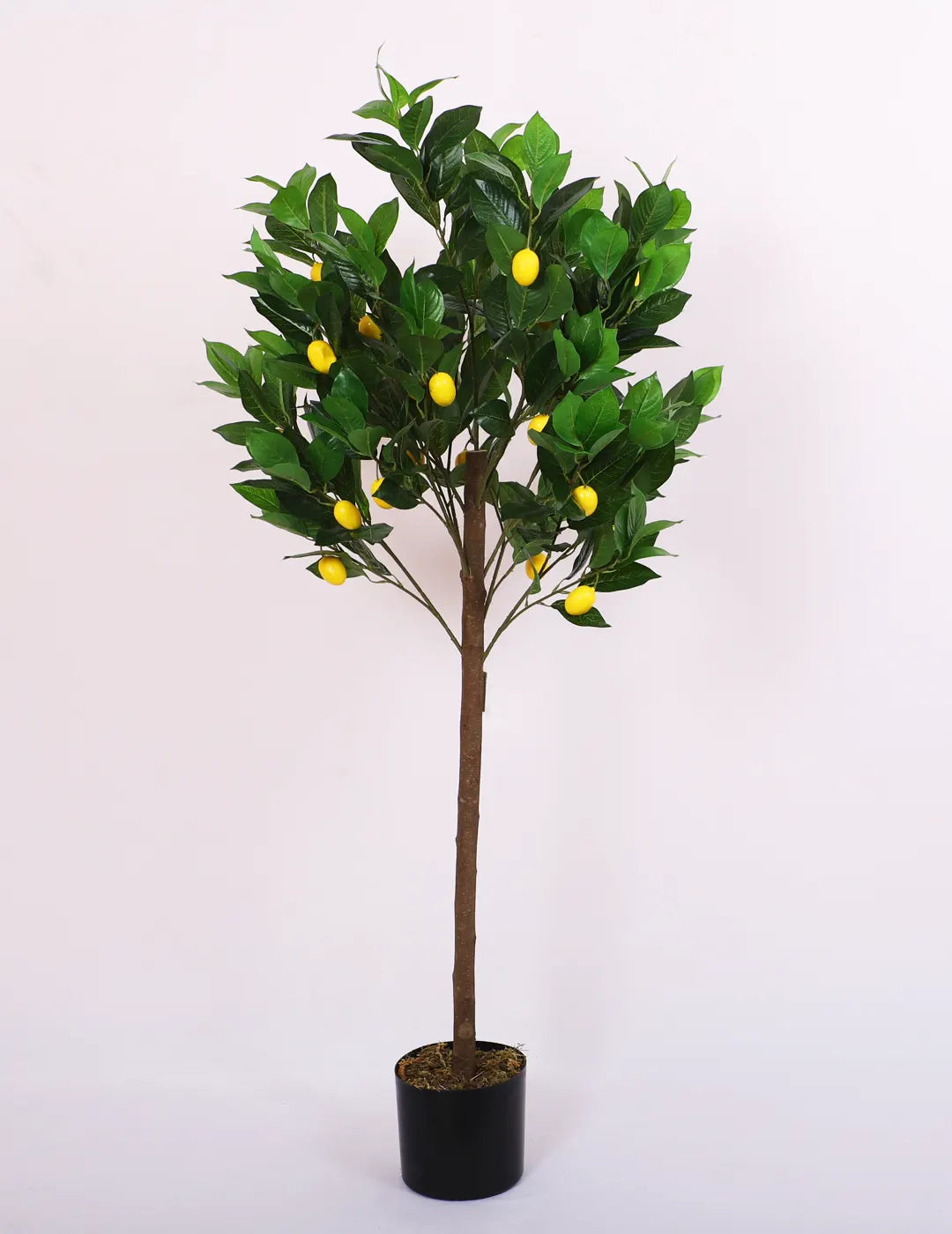 Artificial Tropical Lemon Plant with Basic Black Pot – 4.5 Feet Tall