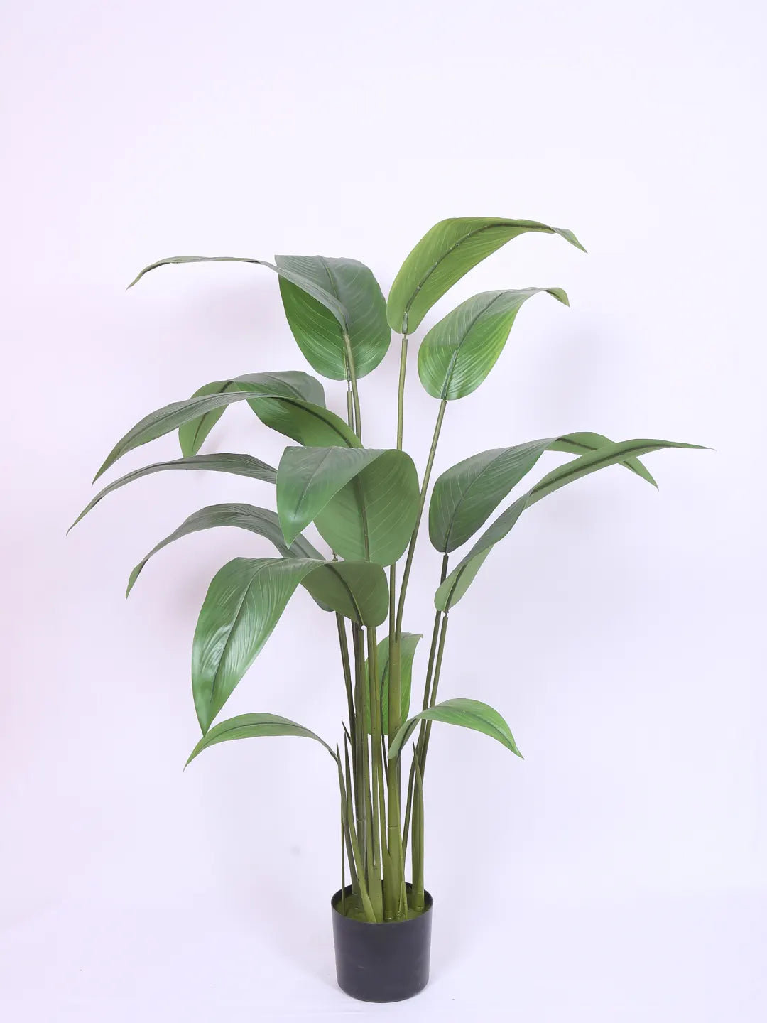 Artificial Birds of Paradise & Banana Plant with Basic Black Pot - 150 cm Tall