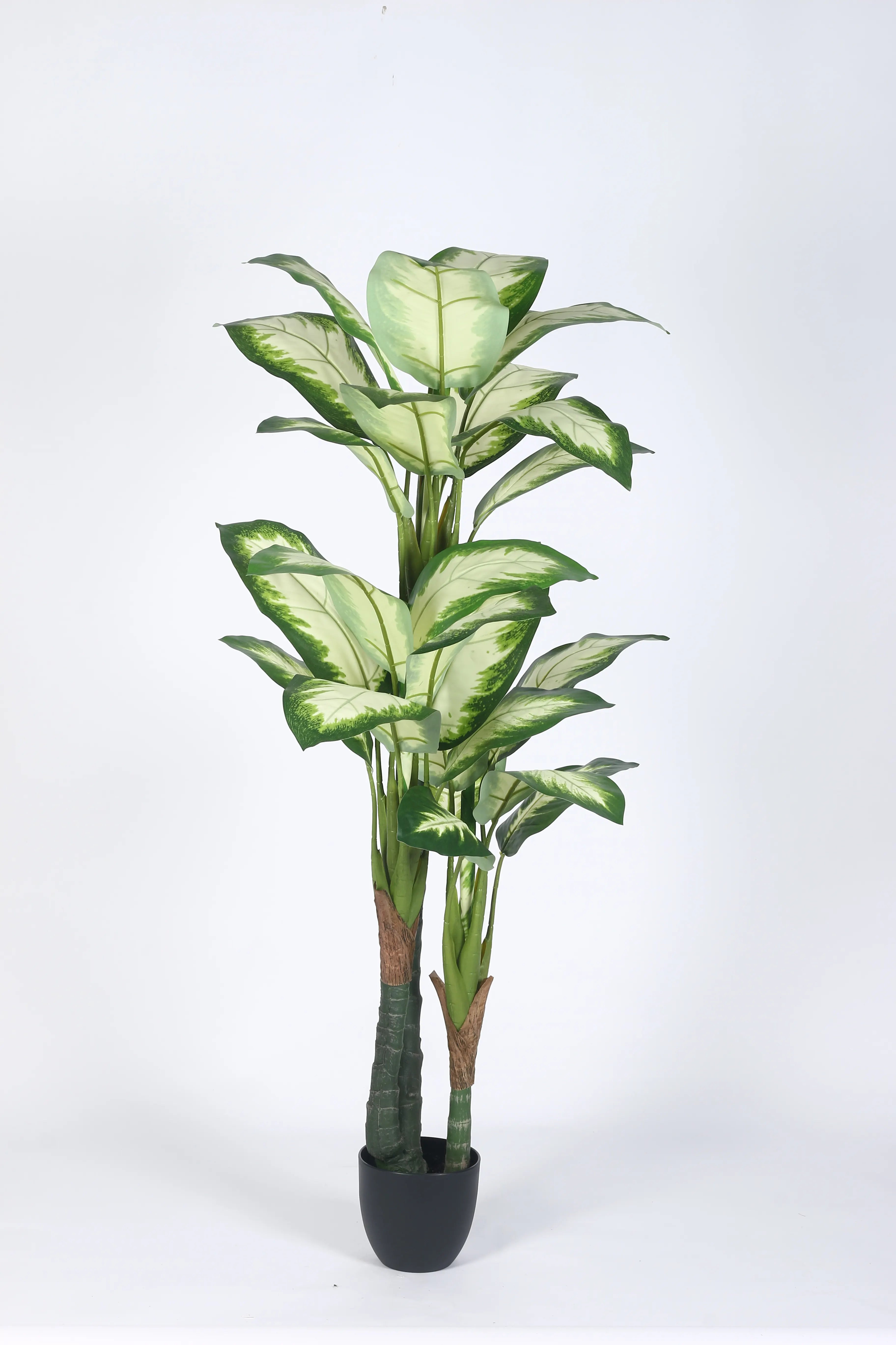 Artificial Evergreen Dieffenbachia Plant with Basic Black Pot - 160 cm Tall, Green/White