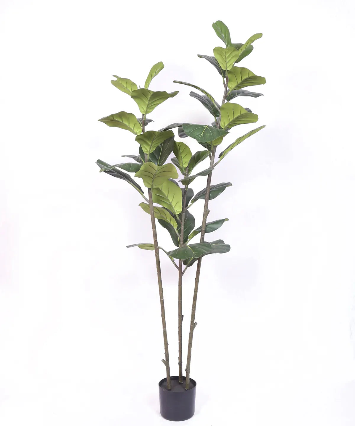Artificial Evergreen Fiddle Leaf Fig Potted Plants Natural Faux Plants - 150 cm Tall