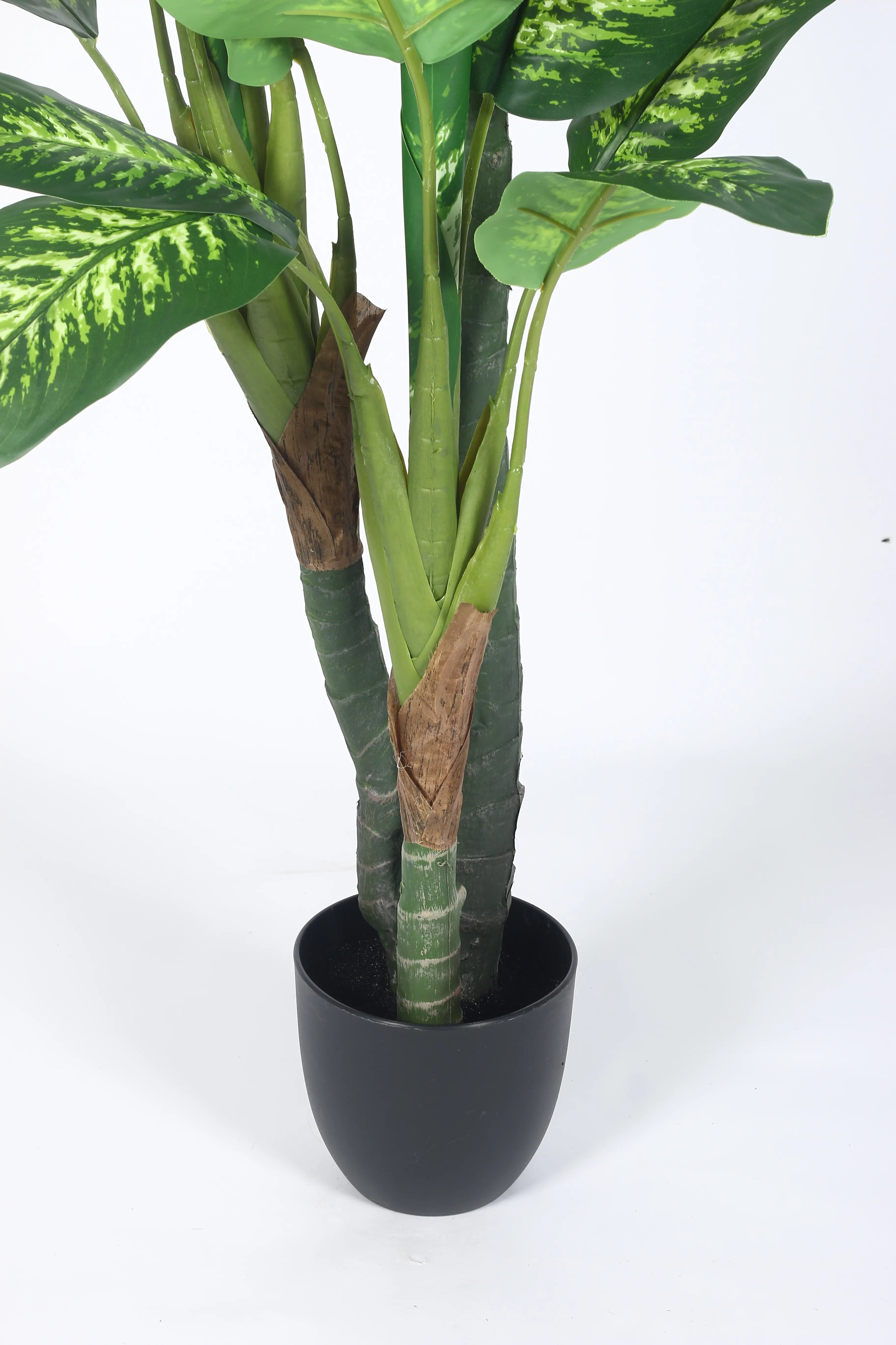 Artificial Evergreen Dieffenbachia Plant with Basic Black Pot - 160 cm Tall, Dark/Green