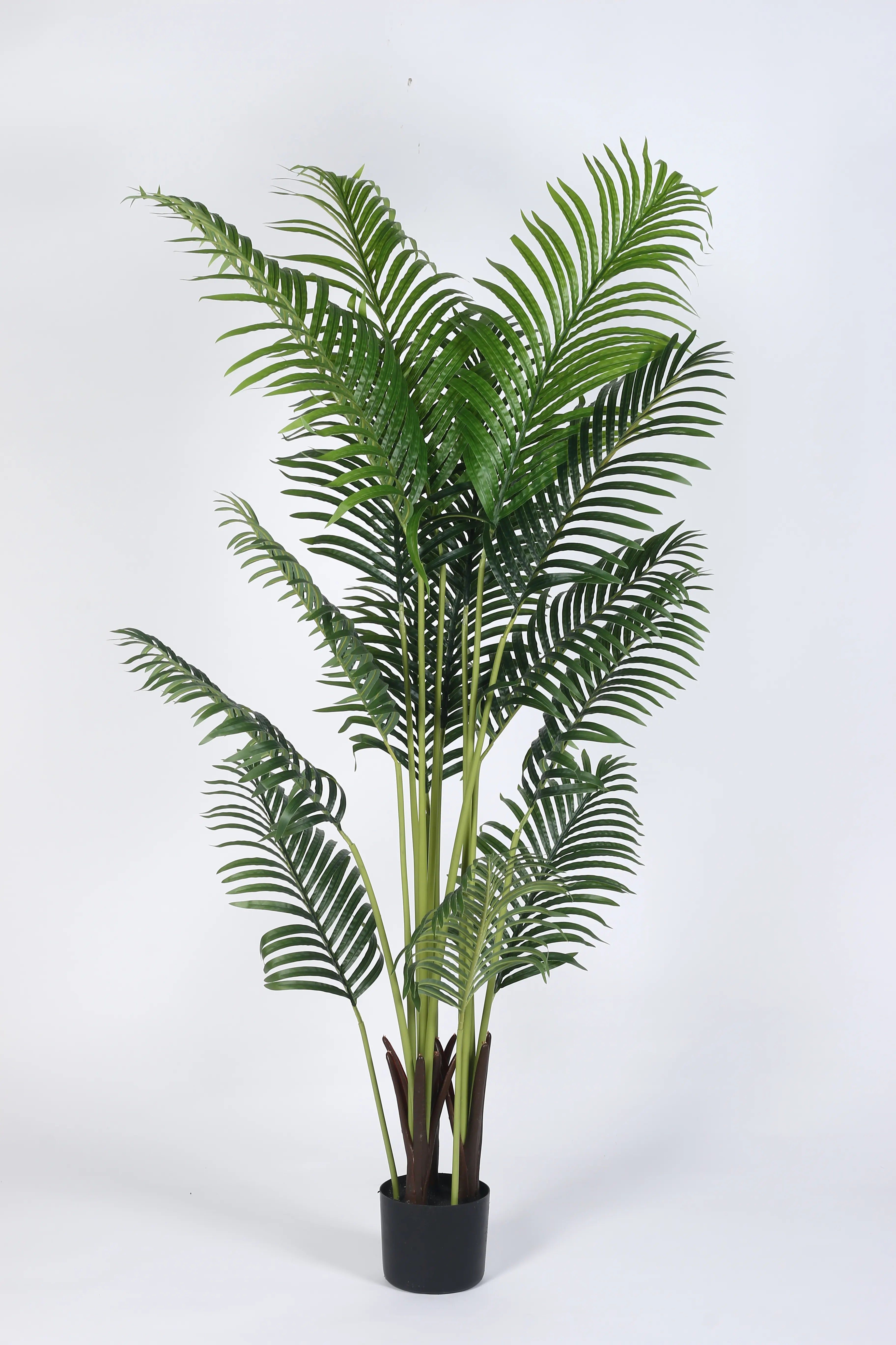 Artificial Lush Green Areca Palm Plants with Basic Black Pot - 160 cm Tall