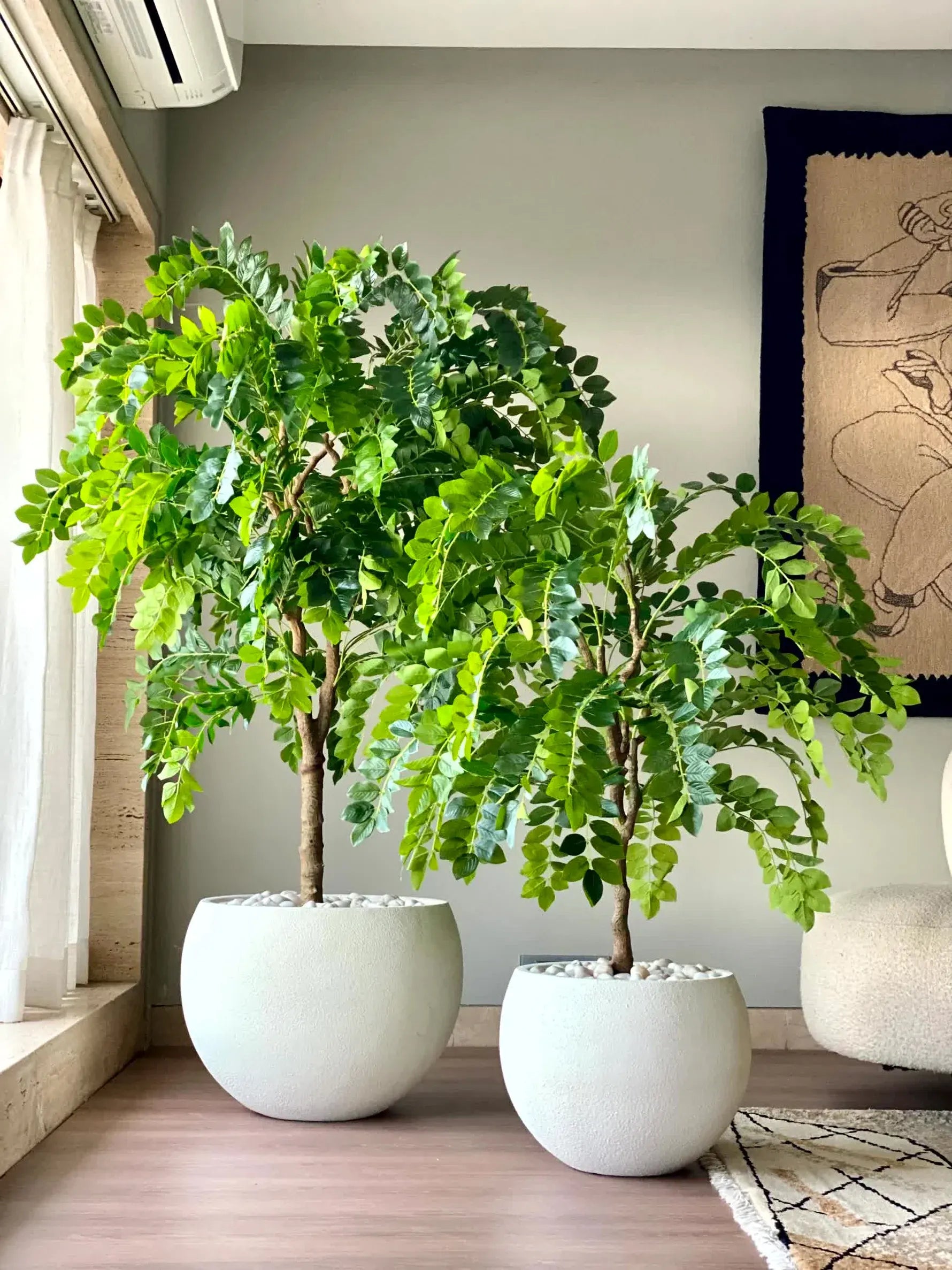Artificial Drooping Evergreen Ficus Plant with Basic Black Pot - 120 cm Tall Green