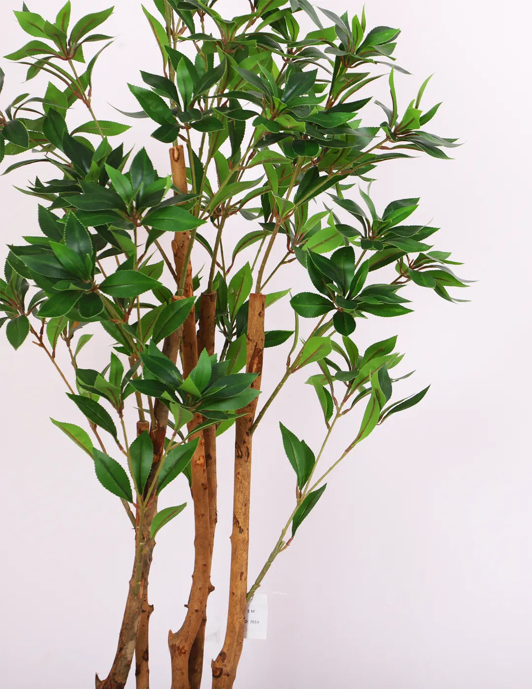 Artificial Midas Ruscus Lush Plant with Basic Black Pot - 5 Feet Tall