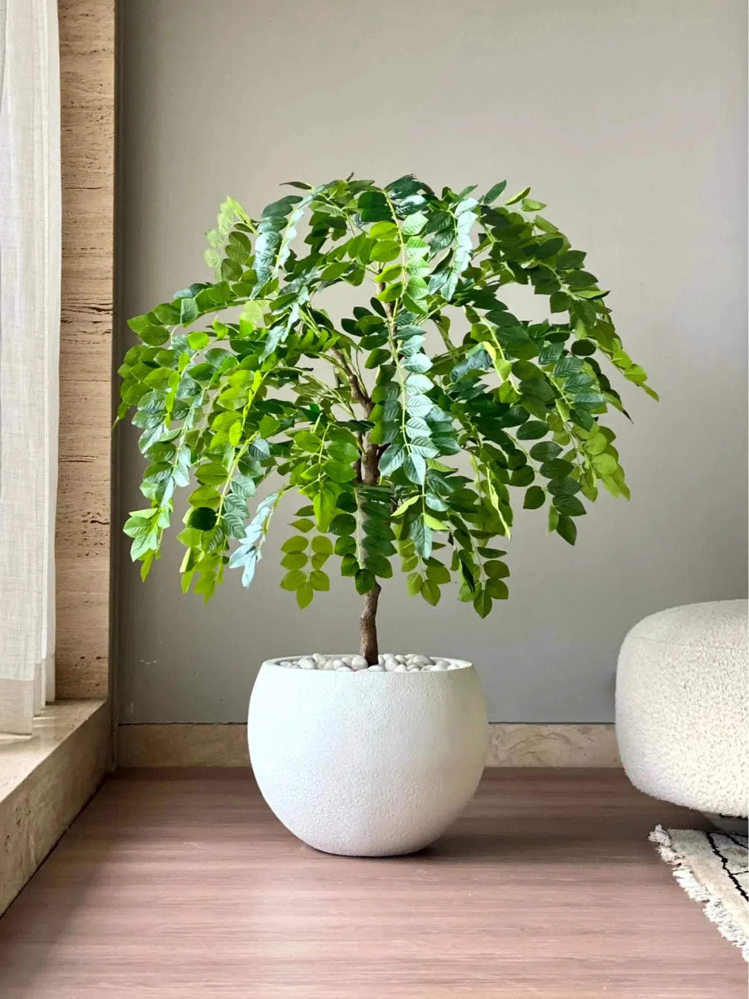 Artificial Drooping Evergreen Ficus Plant with Basic Black Pot - 120 cm Tall Green