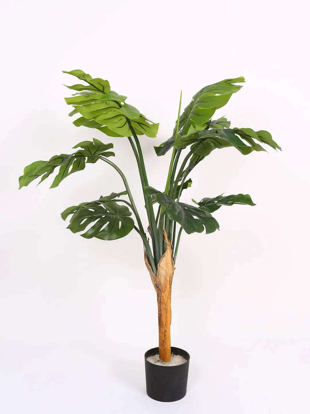 Artificial Midas Monstera Plant with Basic Black Pot - 120 cm Tall, Green