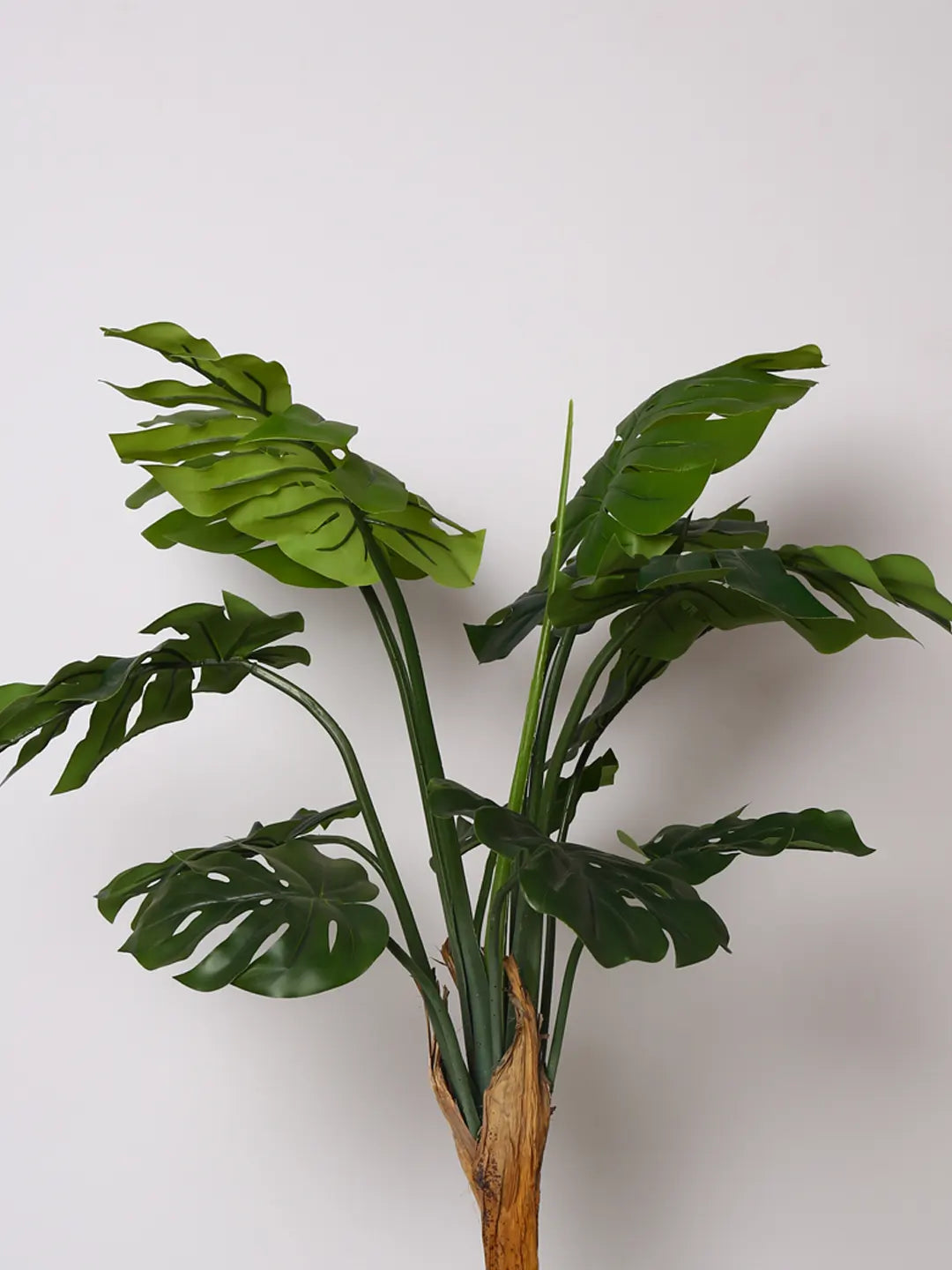 Artificial Midas Monstera Plant with Basic Black Pot - 120 cm Tall, Green