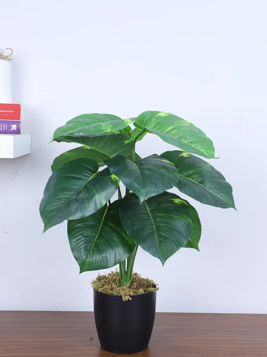 Artificial Miniature PVC Silk Photos Leaf Green Floor Plant with Pot (12 Leaves, 55 cm Tall, Green)