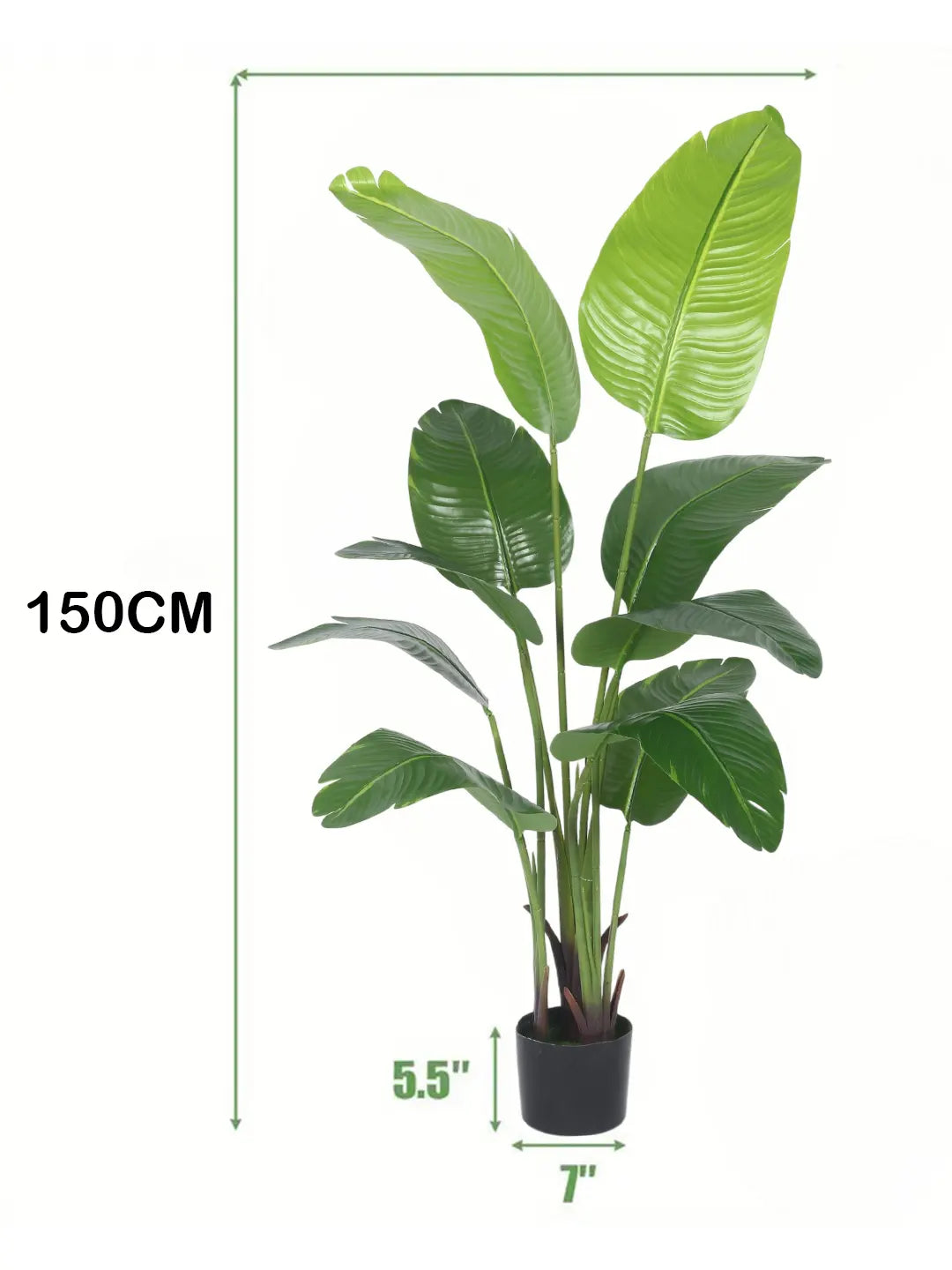 Artificial Cavendish Traveller Plant with Basic Black Pot - 5 Feet