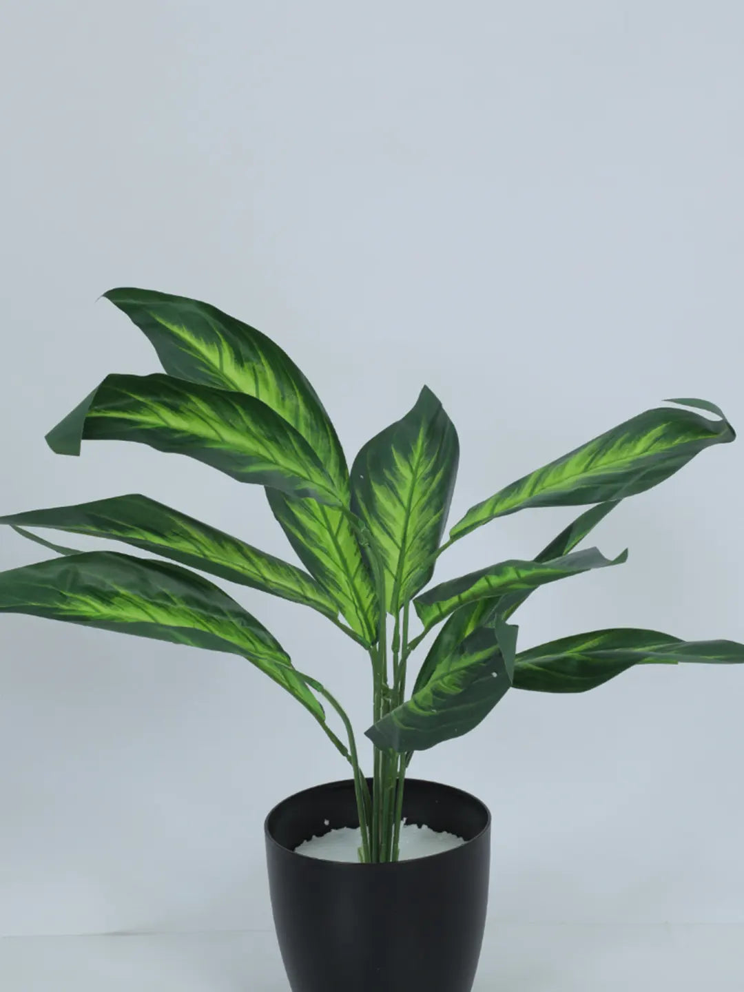 Artificial Green Dieffenbachia Plant (12 Leaves with Basic Black Pot 45 Cm Tall)