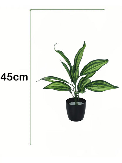 Artificial Green Dracaena Plant (12 Leaves with Basic Black Pot 45 Cm Tall)