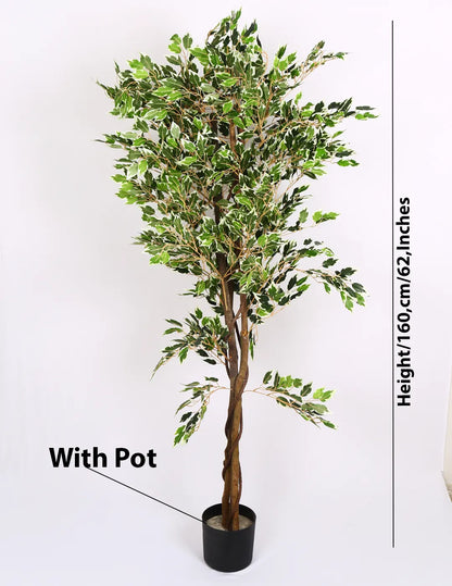Artificial Dried Variegated Ficus Plant with Basic Black Pot - 160 cm Tall Tall Green Leaves
