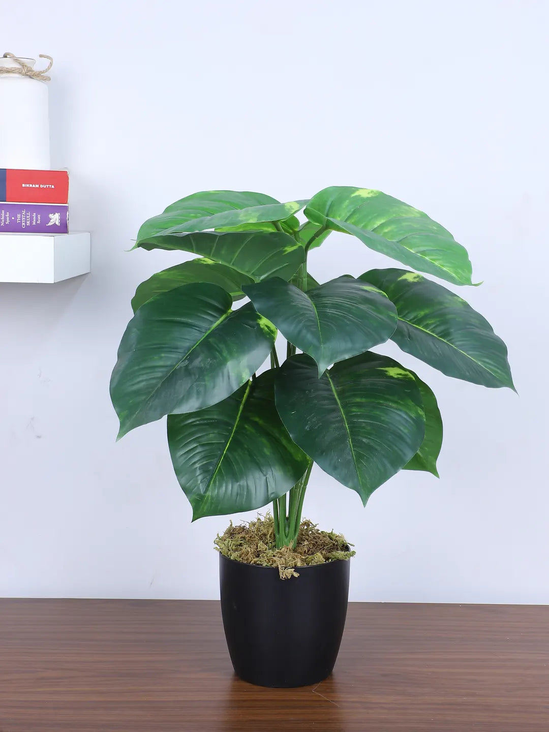 Artificial Miniature PVC Silk Photos Leaf Green Floor Plant with Pot (12 Leaves, 55 cm Tall, Green)