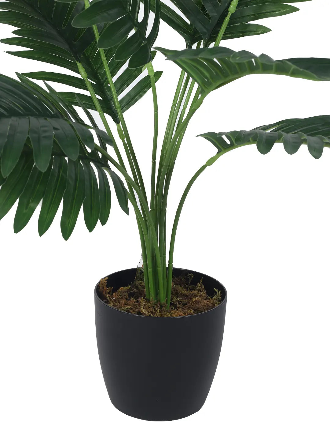 Artificial Tropical Areca Plant With Black Pot - 55 cm Tall, Green