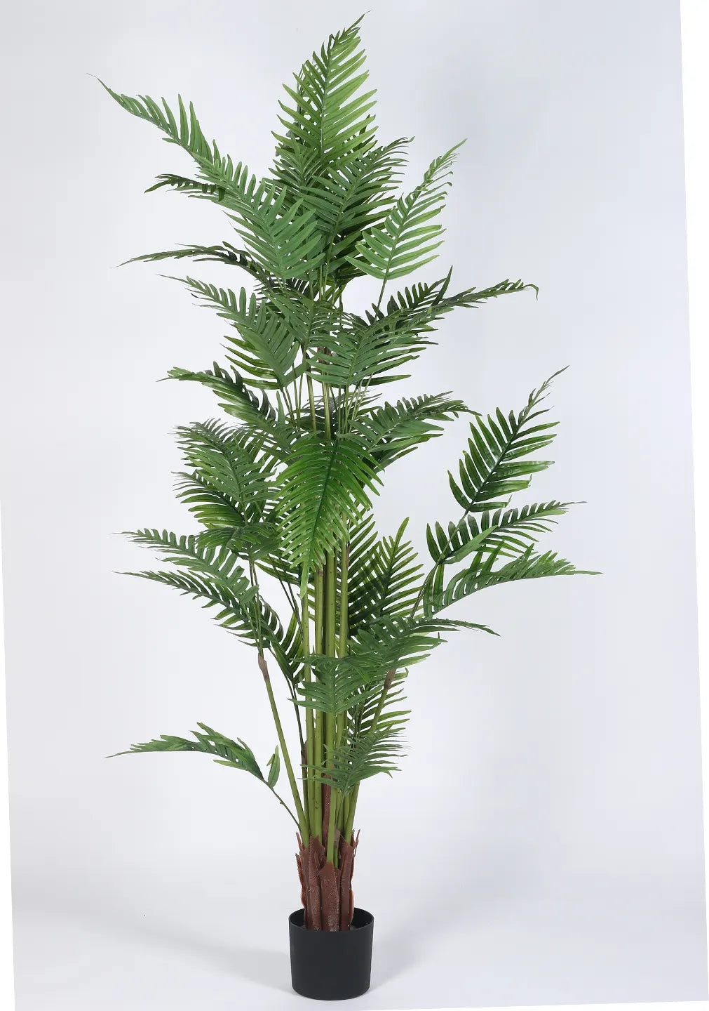 Artificial Phoenix Date Palm Tree with Basic Black Pot - 6 Feet