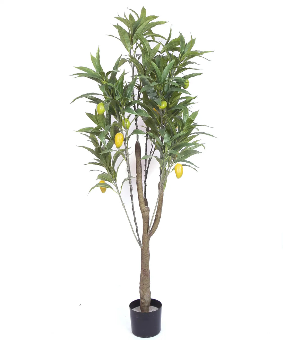 Artificial Tropical Mango Fruit Plant with Basic Black Pot – 5 Feet Tall