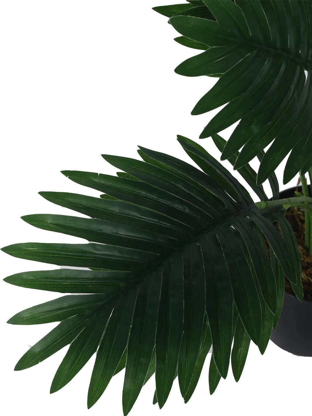 Artificial Tropical Areca Plant With Black Pot - 55 cm Tall, Green