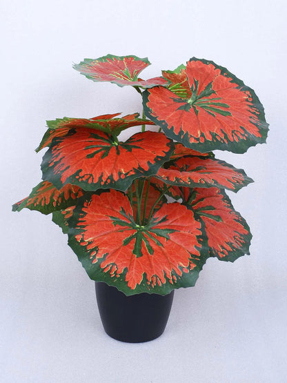Artificial Miniature PVC Silk Caladium Leaf Red Floor Plant with Pot (12 Leaves, 55 cm Tall, Red)