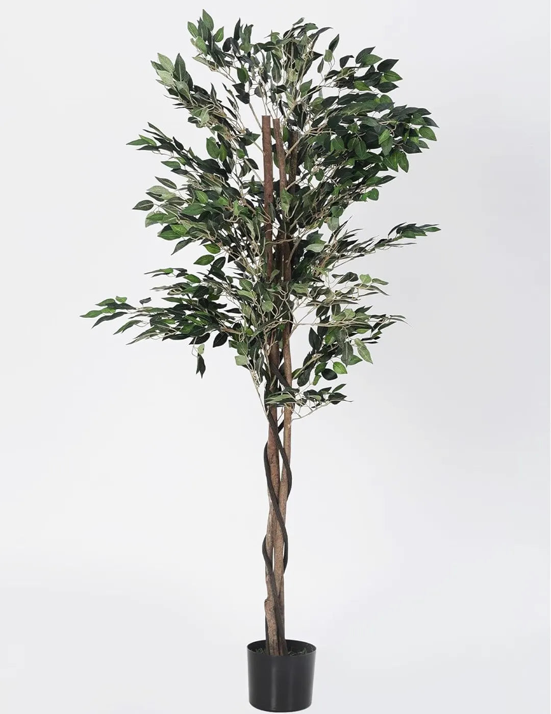 Artificial Green Dried Ficus Plant with Basic Black Pot - 160 cm Tall Green Leaves