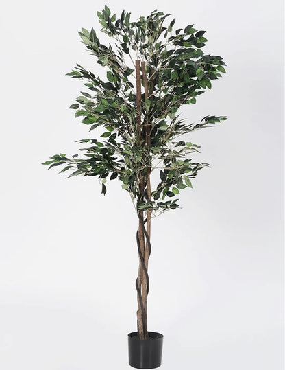 Artificial Green Dried Ficus Plant with Basic Black Pot - 160 cm Tall Green Leaves