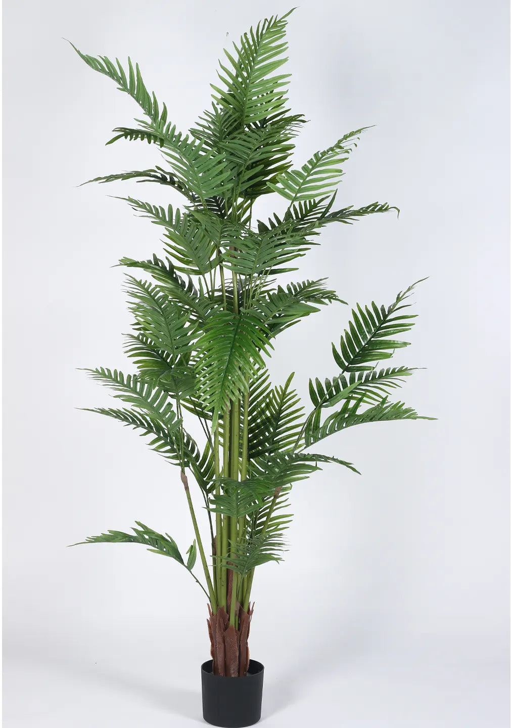 Artificial Phoenix Date Palm Tree with Basic Black Pot - 6 Feet
