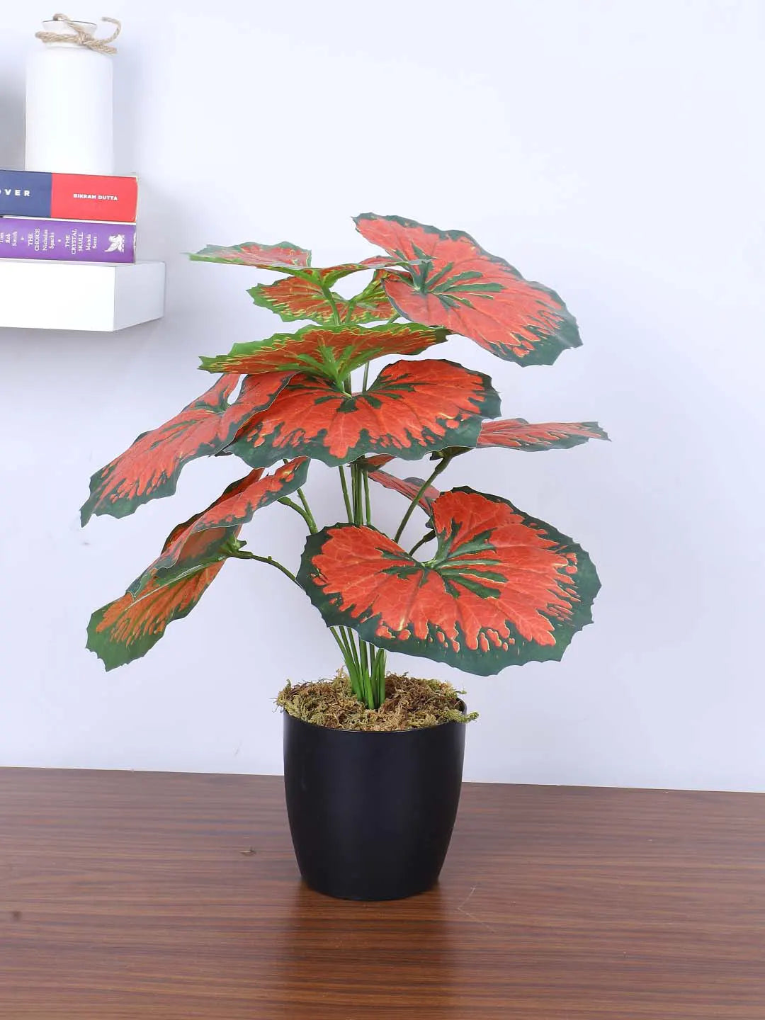 Artificial Miniature PVC Silk Caladium Leaf Red Floor Plant with Pot (12 Leaves, 55 cm Tall, Red)