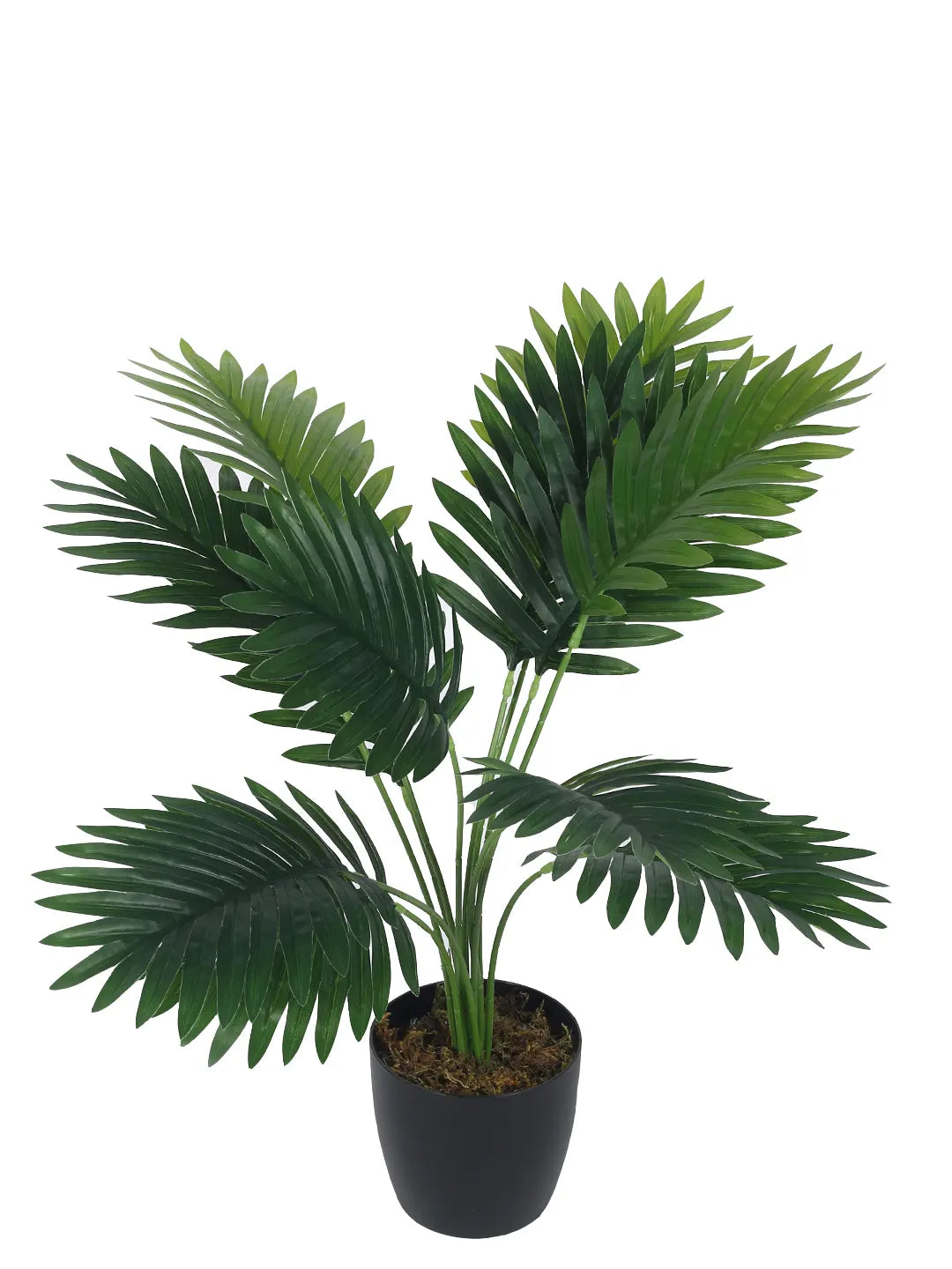 Artificial Tropical Areca Plant With Black Pot - 55 cm Tall, Green