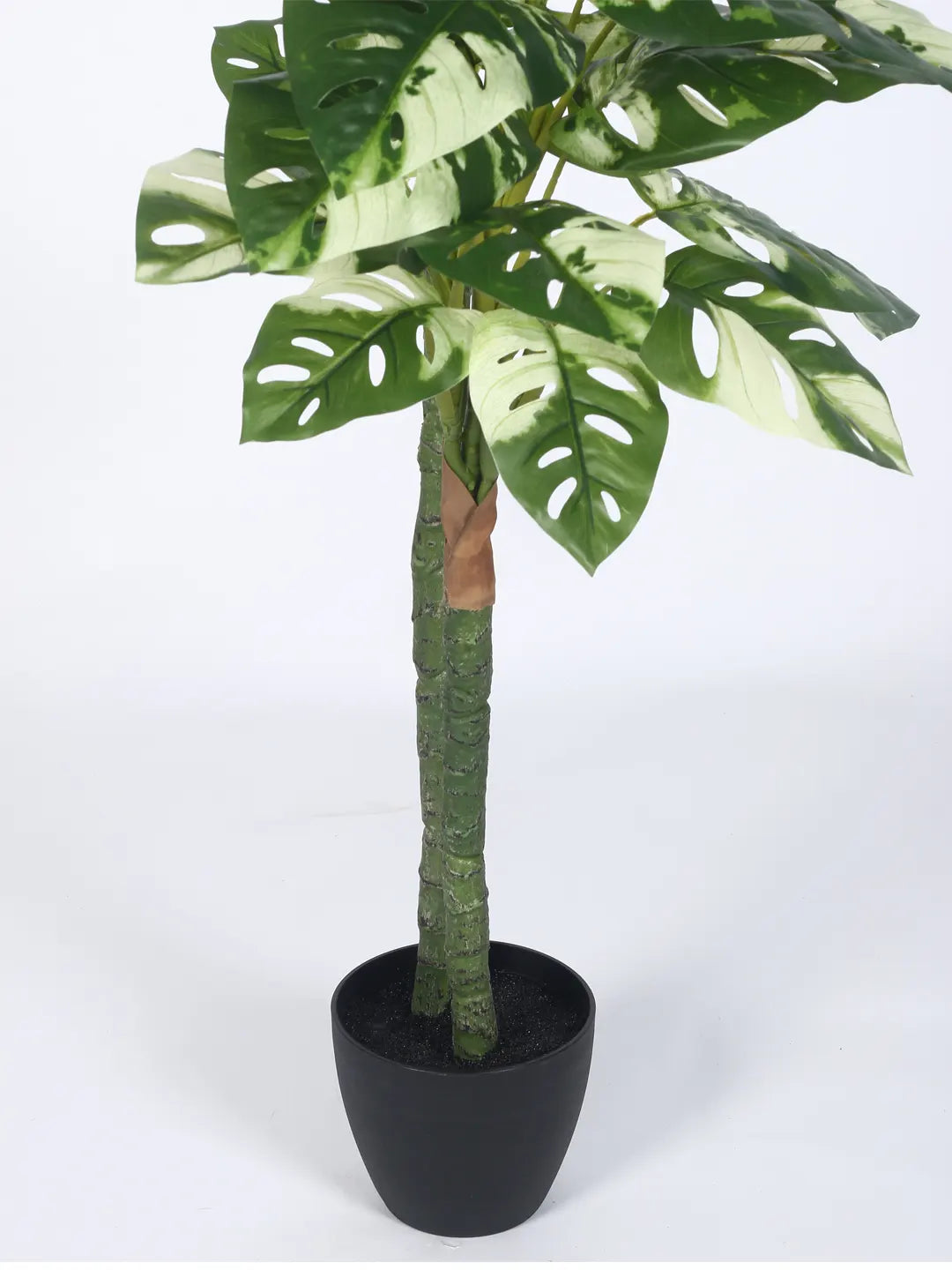 Artificial Variegated Dual Monstera Plant with Basic Black Pot - 140 cm Tall Green