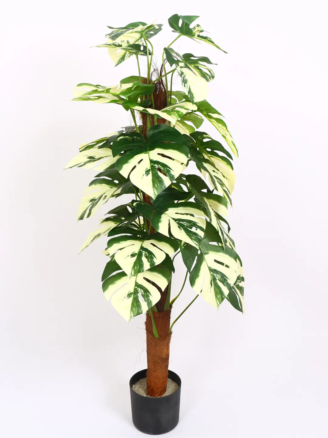 Artificial Variegated Dual Monstera Plant with Basic Black Pot - 120 cm Tall Green