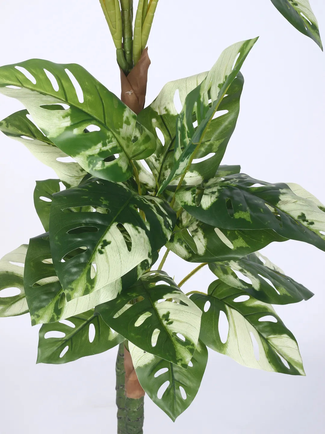 Artificial Variegated Dual Monstera Plant with Basic Black Pot - 140 cm Tall Green