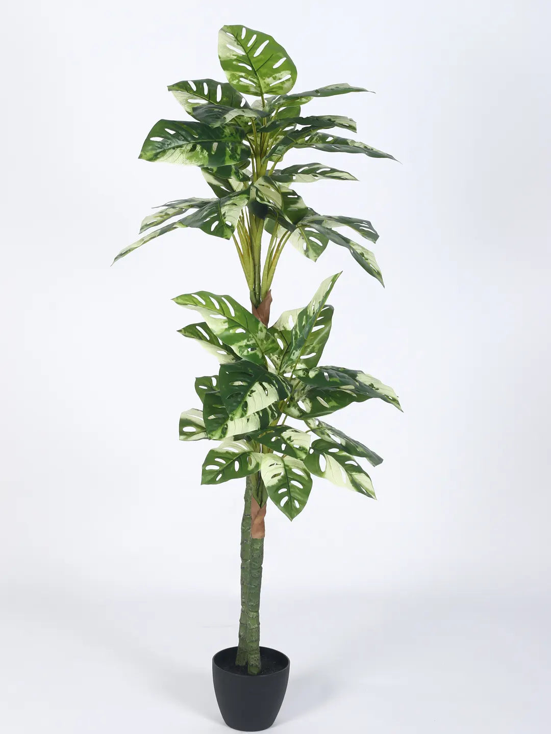 Artificial Variegated Dual Monstera Plant with Basic Black Pot - 140 cm Tall Green