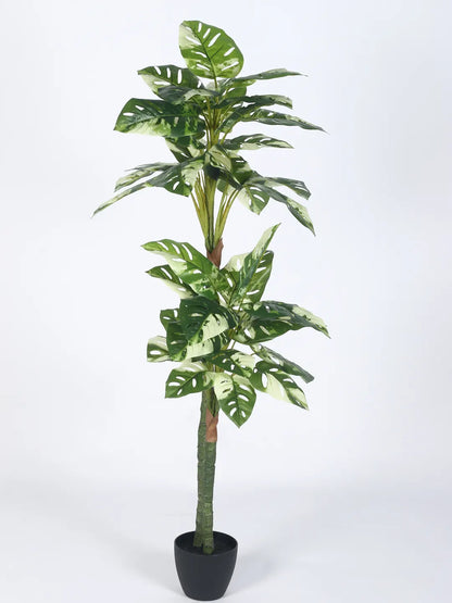 Artificial Variegated Dual Monstera Plant with Basic Black Pot - 140 cm Tall Green