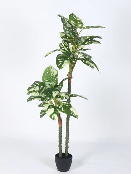 Artificial Variegated Dual Monstera Plant with Basic Black Pot - 140 cm Tall Green