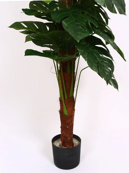 Artificial Dual Monstera Plant with Basic Black Pot - 120 cm Tall Green